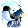 �_�N��